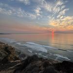 Torrey Pines State Natural Reserve