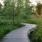 Houston Arboretum & Nature Center