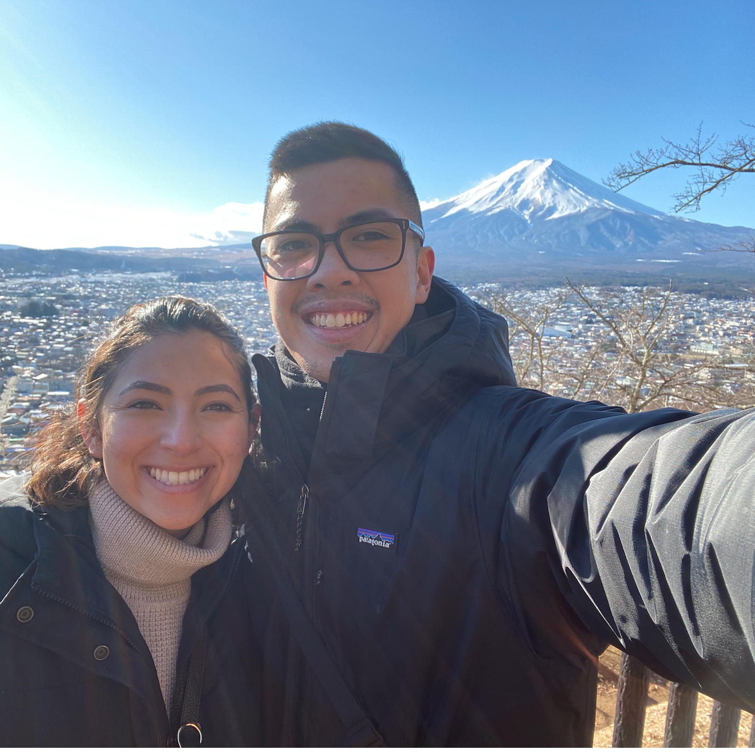 Mount Fuji