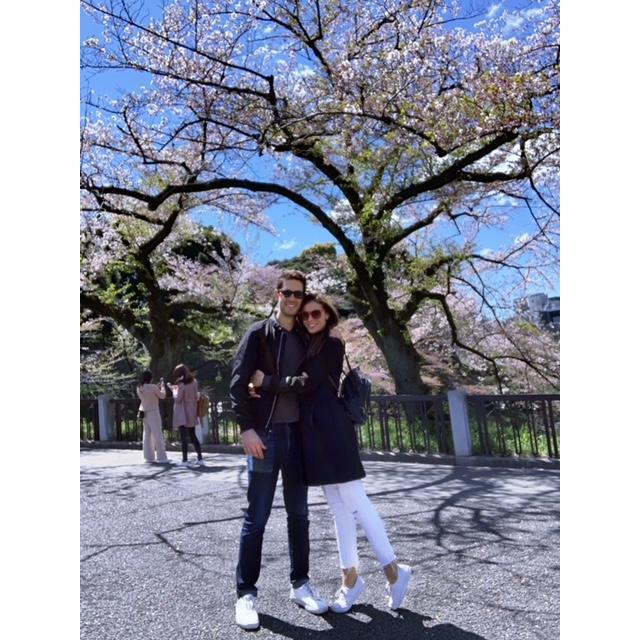 Cherry Blossoms in Japan, 2019