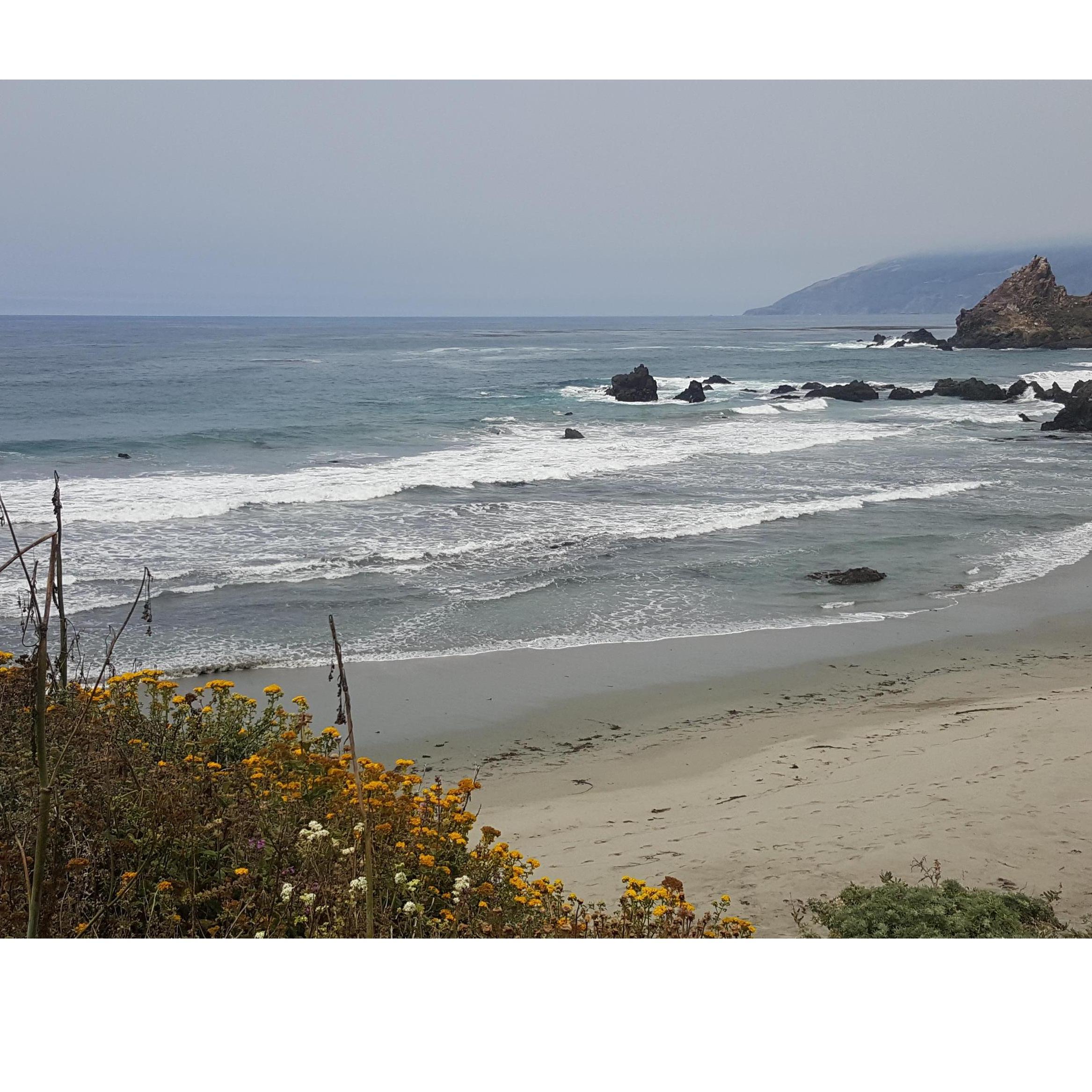 Big Sur Trip