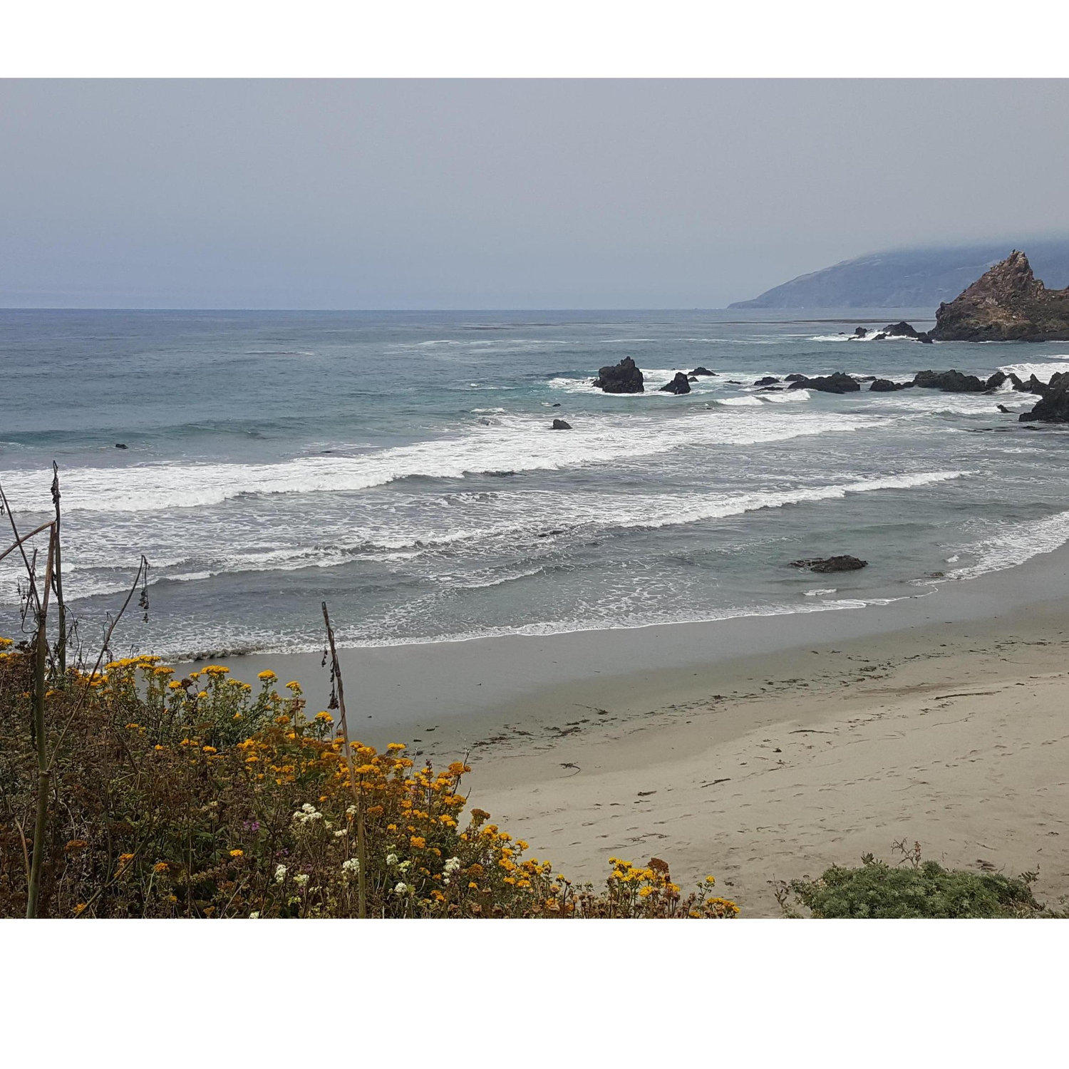 Big Sur Trip