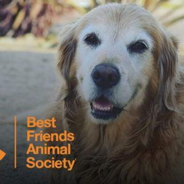 Best Friends Animal Society