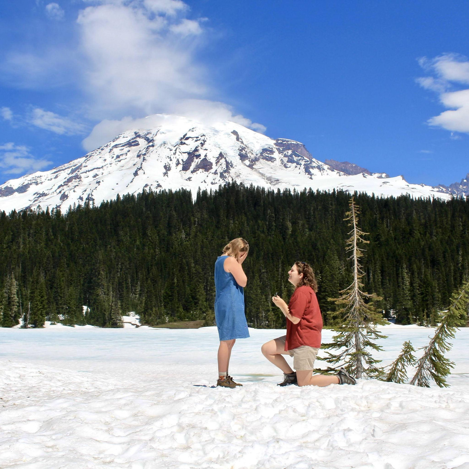 Where Nina Proposed
