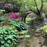 Crystal Springs Rhododendron Garden