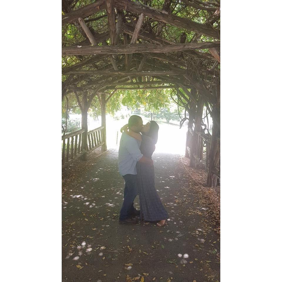 Central Park, NY. Proposal day