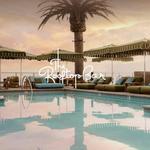 The Rooftop Bar