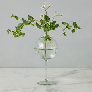 Medium Wine Glass Vase