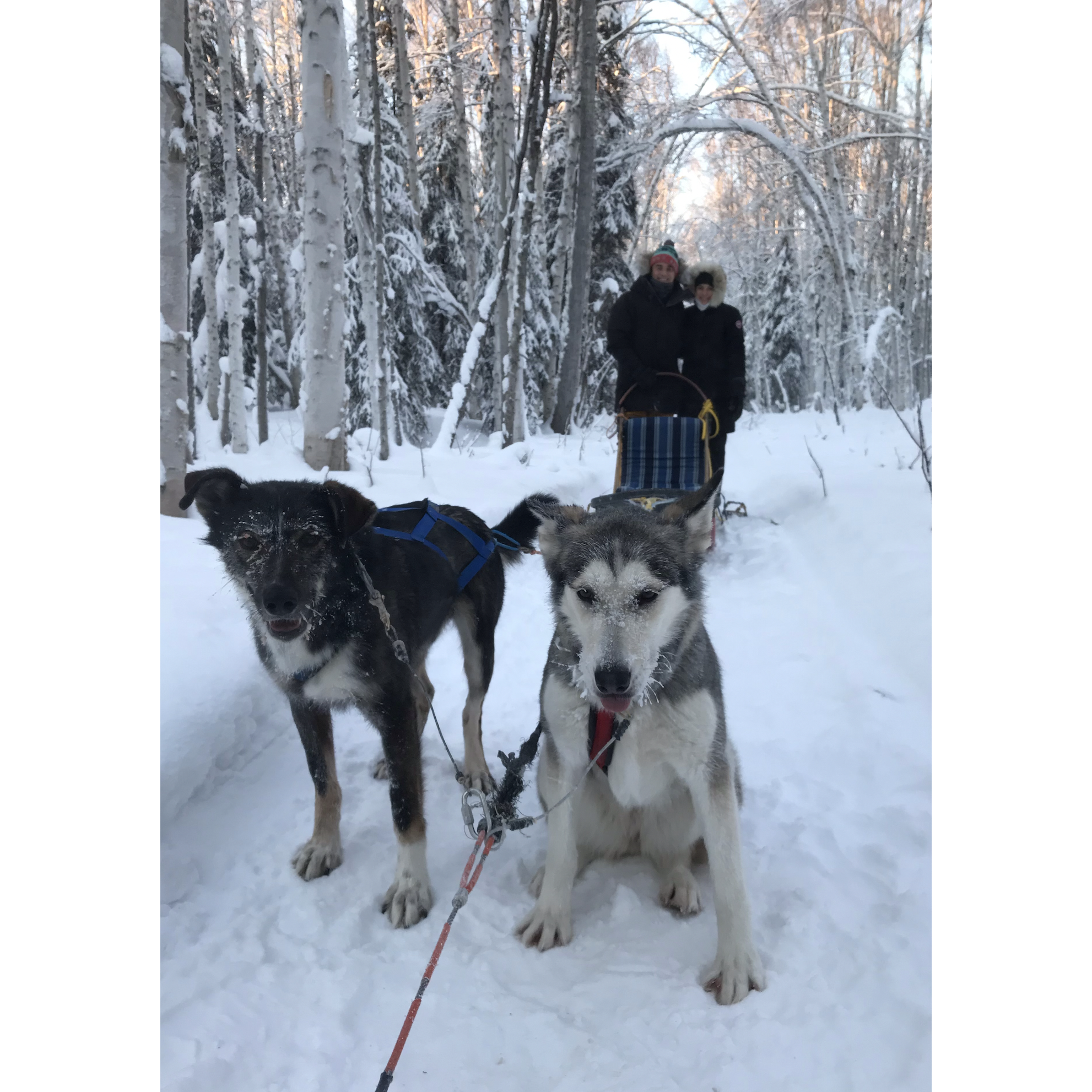 Alaska, January 2020