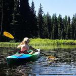 Canoe, kayak or SUP the Payette River