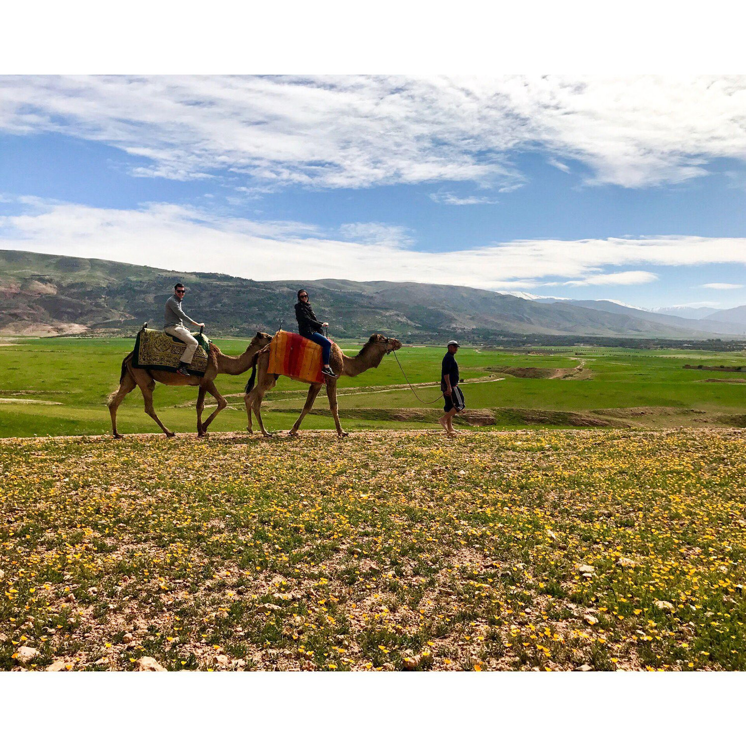 Camel Rides in Marrakech, Morocco