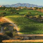 Wine Country