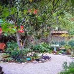 Tucson Botanical Gardens
