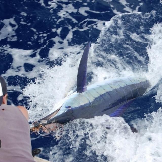 Fishing Excursion On Our Honeymoon