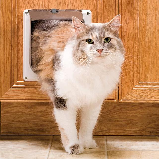 PetSafe Interior Cat Door – 2-Way Lock or 4-Way Lock Options – For Cats Up to 15 lb