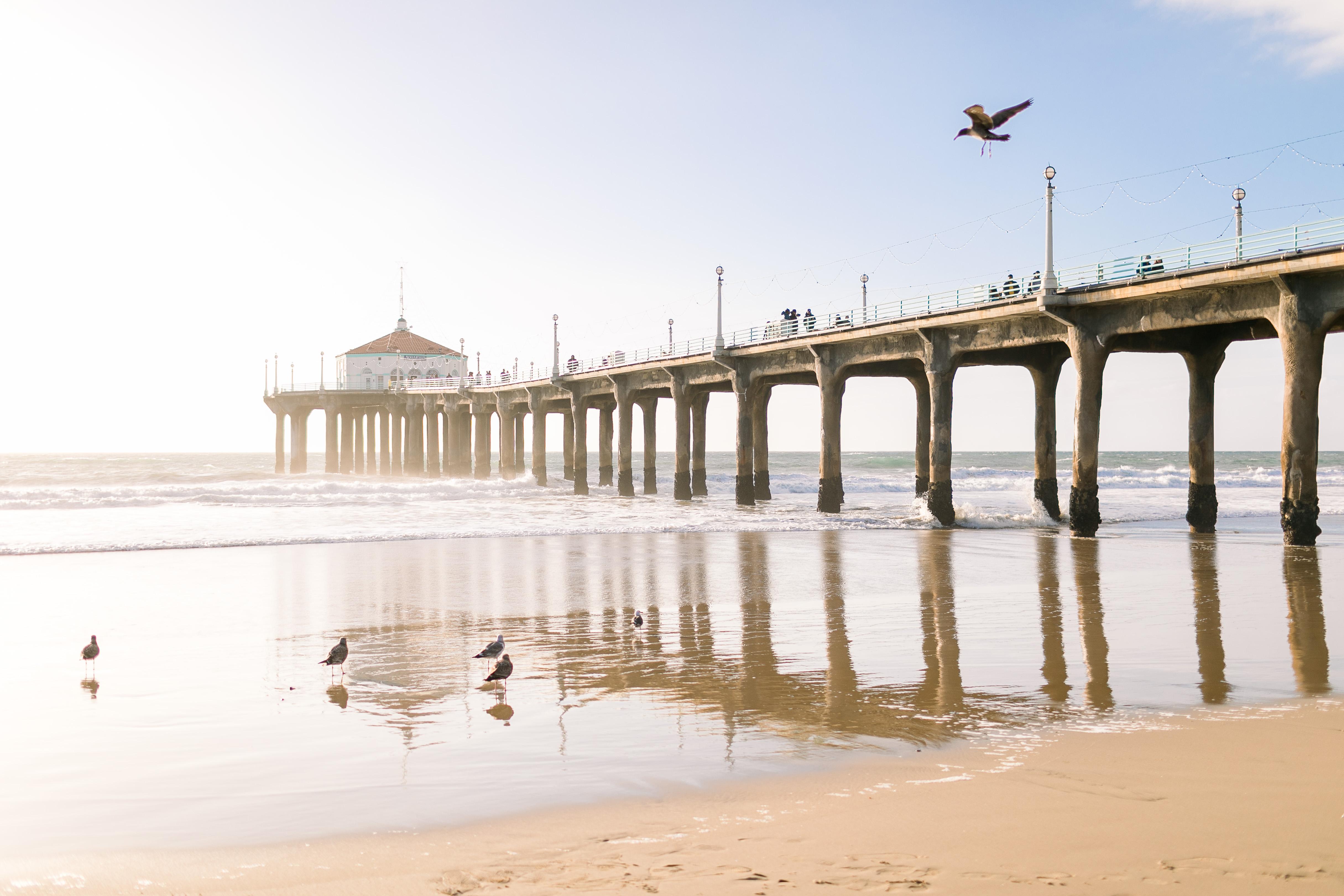 The Wedding Website of Jillian Littleton and Trevor Cochran