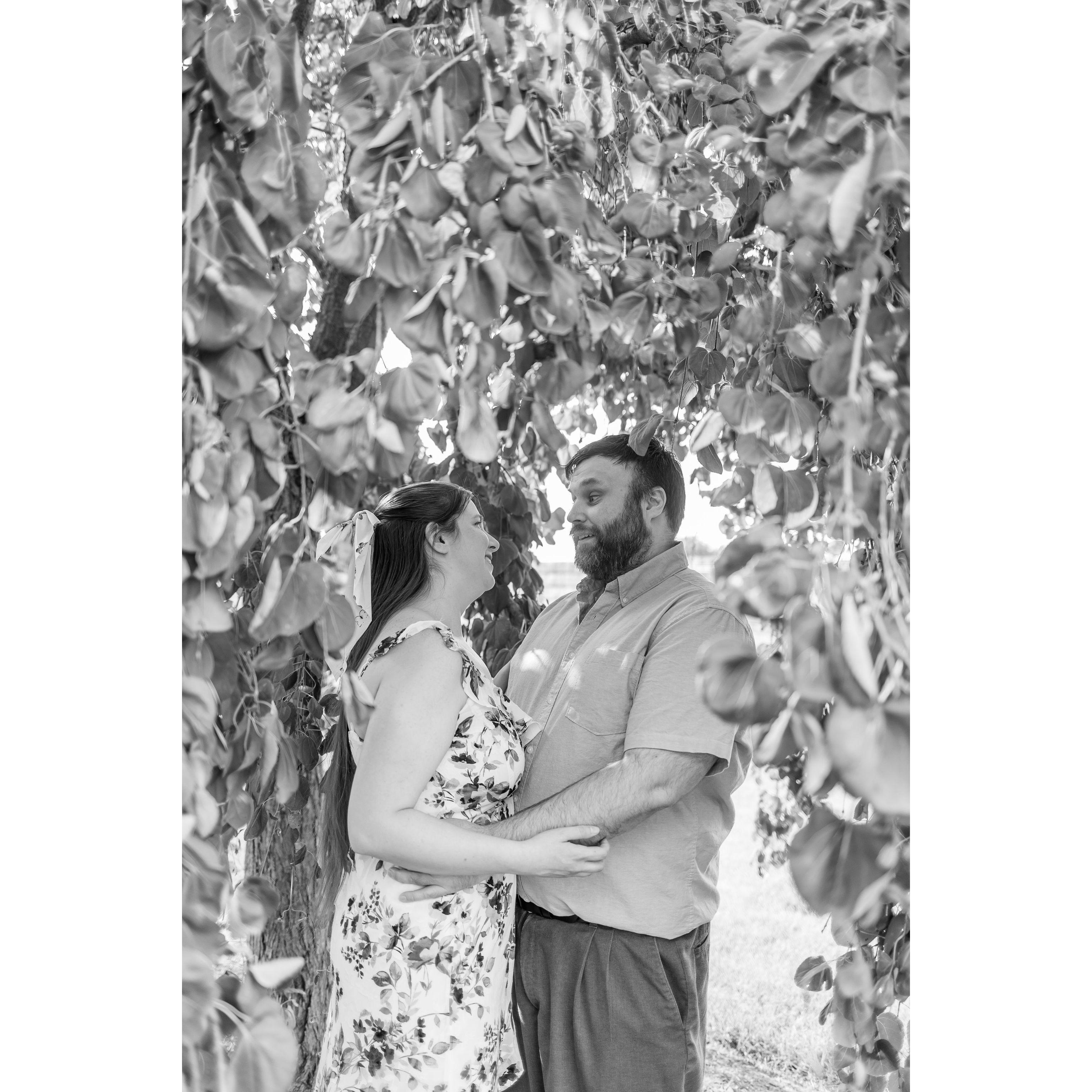 We did an Engagement photo shoot through Minnetrista's paths and gardens in June of 2023.