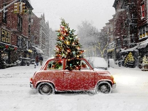 The Wedding Website of Zane Wilchar and Savannah Riddell