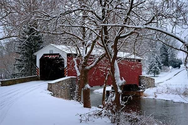 The Wedding Website of Sarah Buckley and Nick Leger