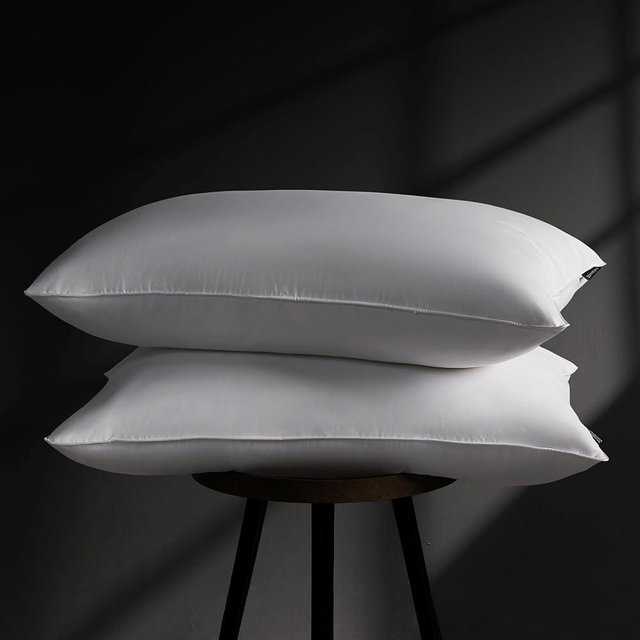 DOWNSTORIA Goose Feather Down Pillow Queen Size Set of 2, Hotel Collection Bed Pillows for Sleeping, 2 Pack, Down Surrounded Soft Medium Firm Pillows for Side Back Sleepers 20 x 30 in.