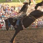 Bigfork Montana Rodeo
