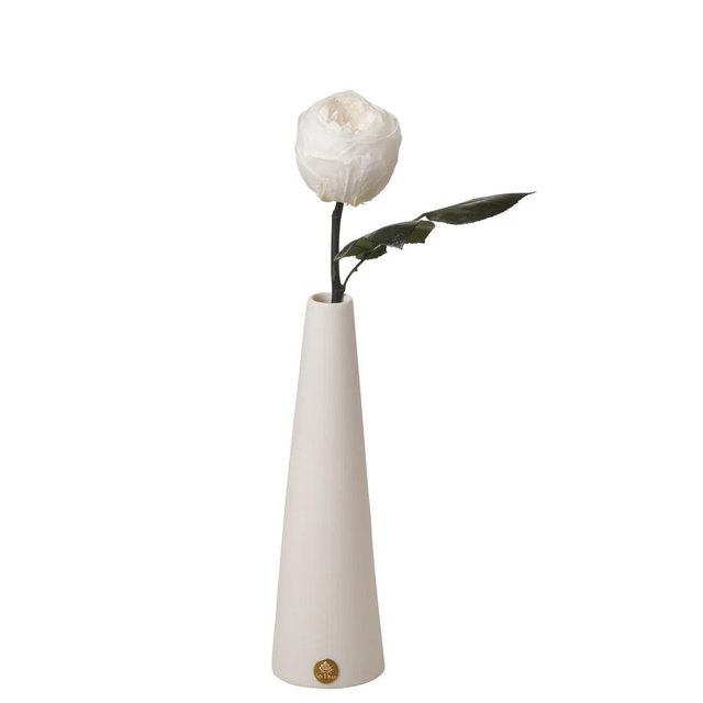 Peony Rosette Single Stem
