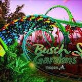 Busch Gardens Tampa Bay