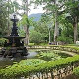 Botanical Garden of Rio de Janeiro