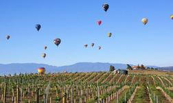 Hot Air Balloon Rides over Temecula Winery