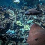 Baltimore Aquarium