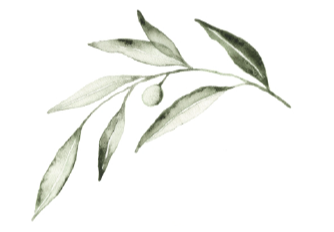 The Wedding Website of Maddie Sarff-Foden and Drew Moreland