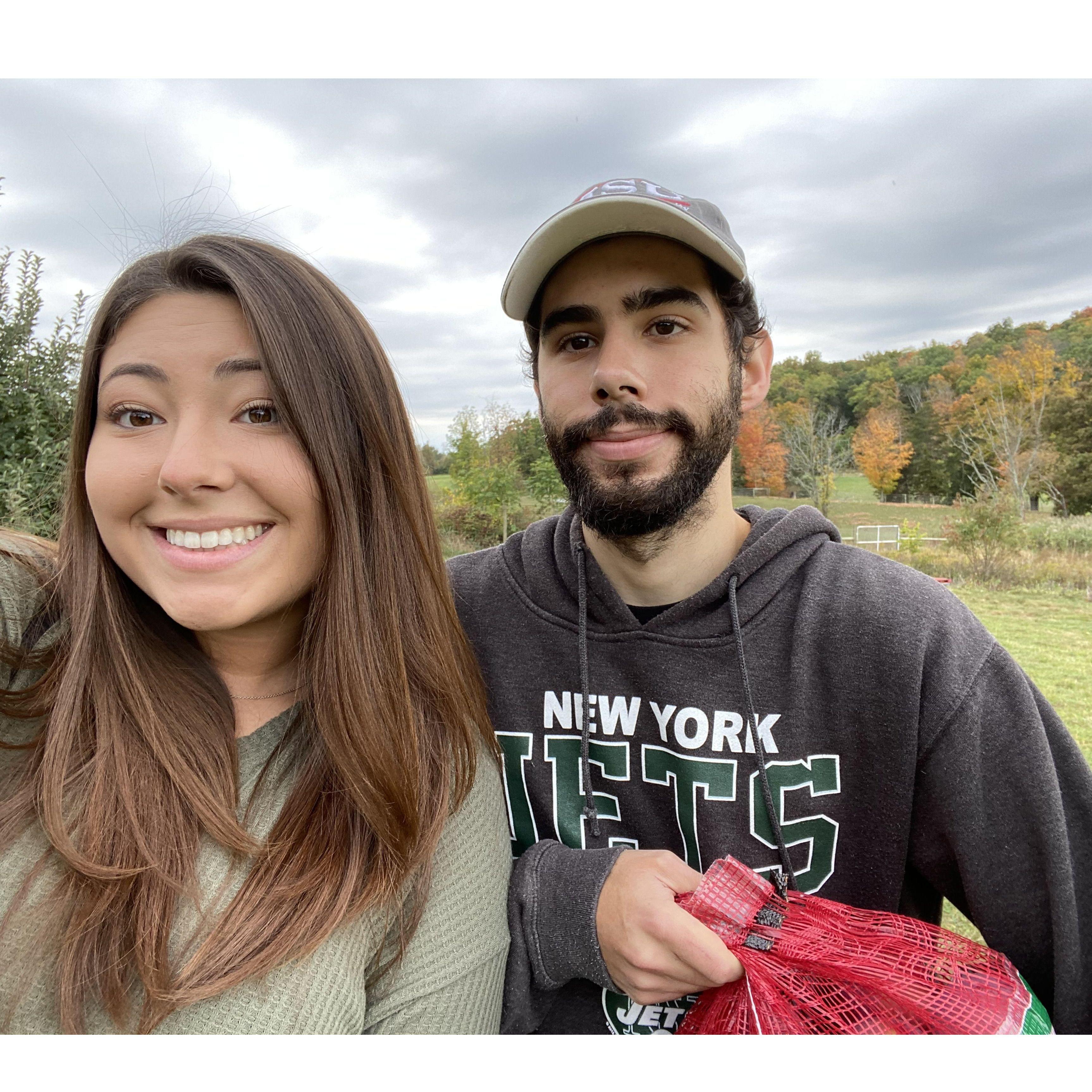 Annual apple picking (2020)