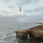 Sunset Cliffs