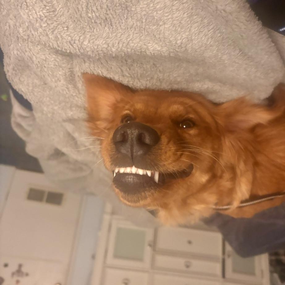 Callie impersonating the Dragon from Neverending Story