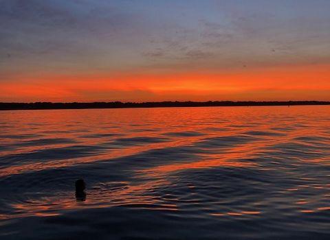 The Wedding Website of Devon McFadden and Owen Downs