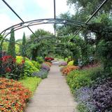 Cheekwood Estate and Gardens