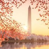 Washington, DC