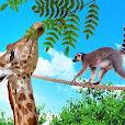 Cameron Park Zoo