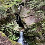 Welton Falls Hike