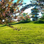 Patterson Park & Pagoda