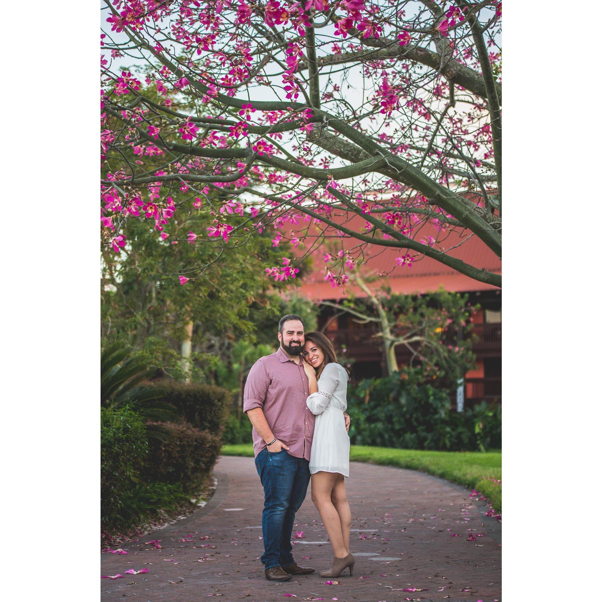 Both: "Dat's a nice tree. Let's get a photo underneath it."