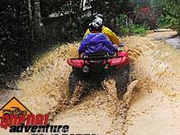 Quadri Adventure