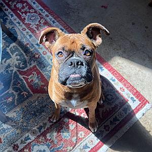 Bauer's Wedding Week Vacation!