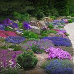 Betty Ford Alpine Gardens