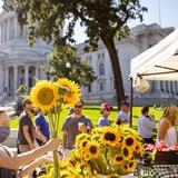 Dane County Farmers' Market