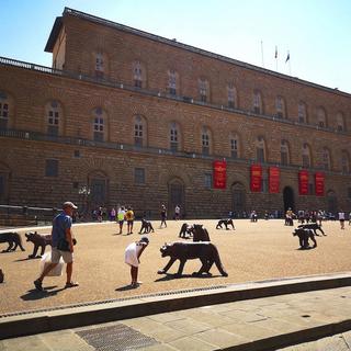 Private Tour of Palazzo Pitti & Boboli Gardens for 2 - Florence