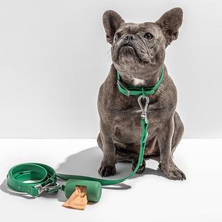 Waterproof Dog Collar