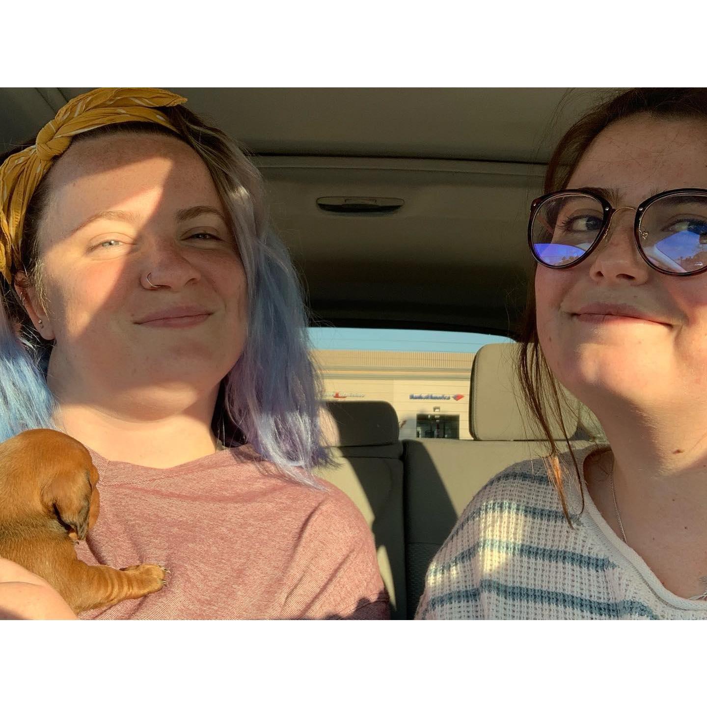 The day we brought Georgia home