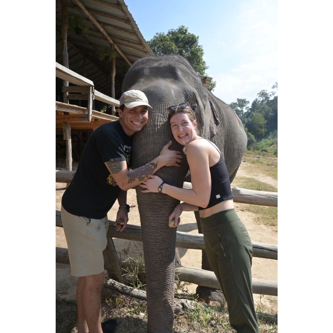 Elephant sanctuary in Thailand, January 2024