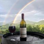 Point Lookout Vineyards